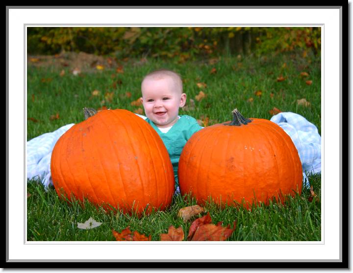 Click for the original image